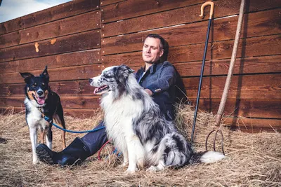 Śląski Folwark - Pasienie Opole